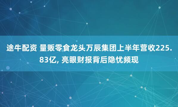 途牛配资 量贩零食龙头万辰集团上半年营收225.83亿, 亮眼财报背后隐忧频现