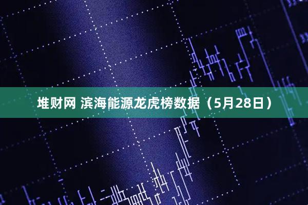 堆财网 滨海能源龙虎榜数据（5月28日）