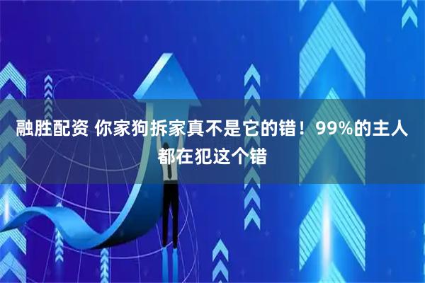 融胜配资 你家狗拆家真不是它的错！99%的主人都在犯这个错