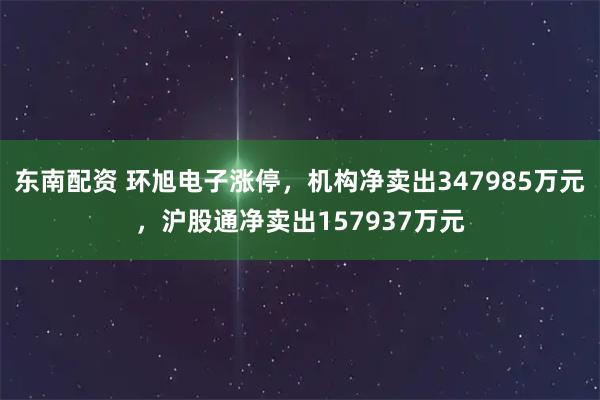 东南配资 环旭电子涨停，机构净卖出347985万元，沪股通净卖出157937万元